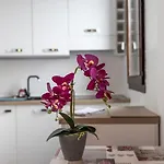 Oasi In The Center 公寓 *